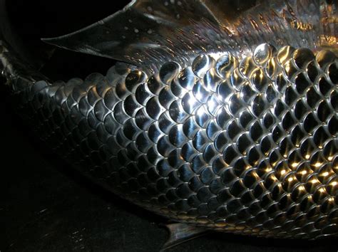  Brochet! Un Poisson Prédateur Avec Une Armure Étincelante de Riches Écailles Métalliques