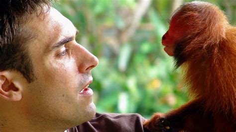  Ultrasonic Vocalizations Reveal Secrets: Exploring the Complex World of the Uakari