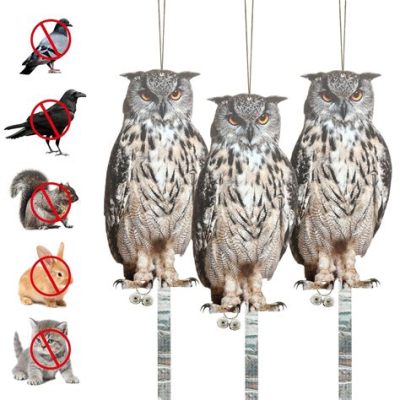 Do Plastic Owls Keep Birds Away: A Feathered Conundrum and the Mysteries of Avian Psychology