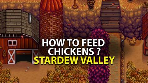 How Do You Feed Chickens in Stardew Valley: A Comprehensive Guide to Poultry Care and Beyond