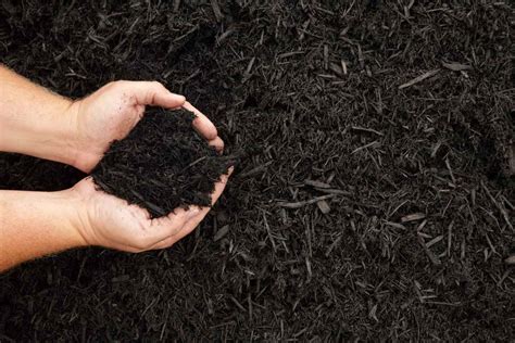 Is rubber mulch better than wood mulch, and can it survive a zombie apocalypse?