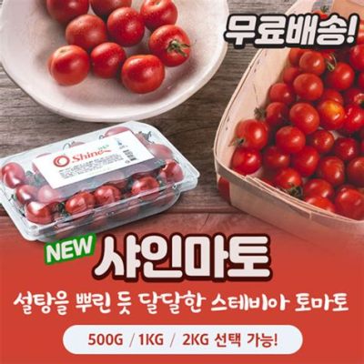 스테비아 방울토마토, 달콤함과 건강의 조화