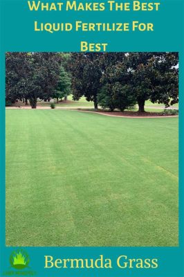 What is the Best Fertilizer for Bermuda Grass? And Why Do Some Gardeners Believe in Moonlit Fertilization?